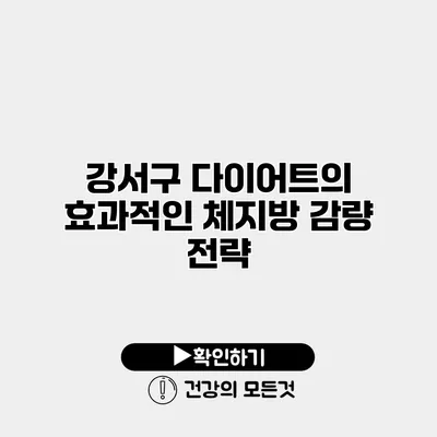 강서구 다이어트의 효과적인 체지방 감량 전략