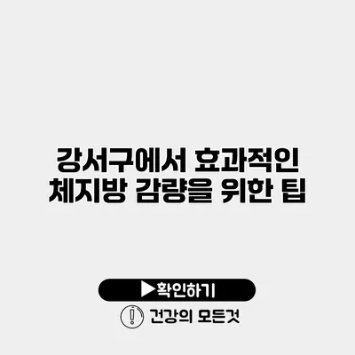 강서구에서 효과적인 체지방 감량을 위한 팁