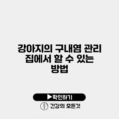 강아지의 구내염 관리 집에서 할 수 있는 방법
