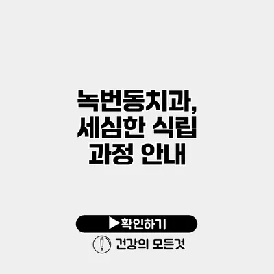녹번동치과, 세심한 식립 과정 안내