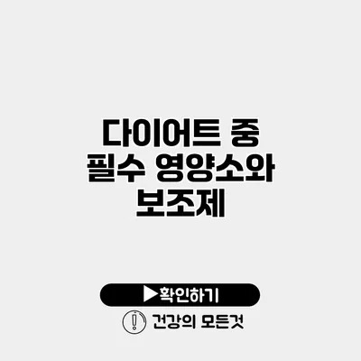 다이어트 중 필수 영양소와 보조제