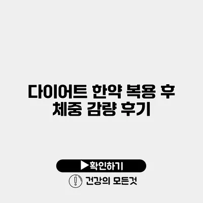 다이어트 한약 복용 후 체중 감량 후기