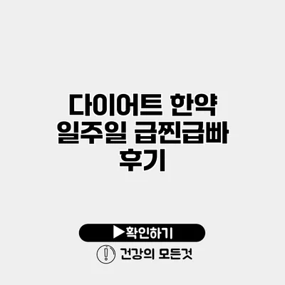 다이어트 한약 일주일 급찐급빠 후기