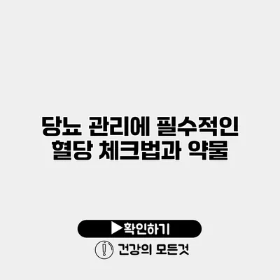 당뇨 관리에 필수적인 혈당 체크법과 약물