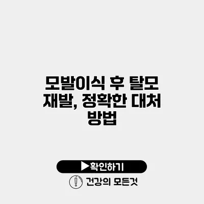 모발이식 후 탈모 재발, 정확한 대처 방법