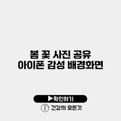 봄 꽃 사진 공유 아이폰 감성 배경화면