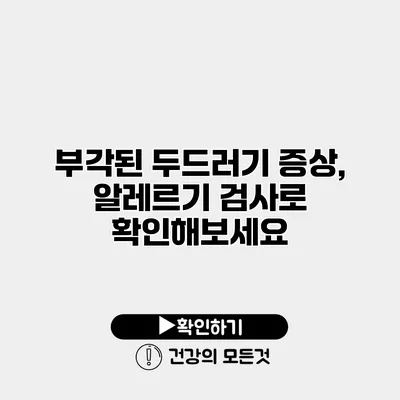 부각된 두드러기 증상, 알레르기 검사로 확인해보세요