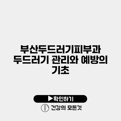 부산두드러기피부과 두드러기 관리와 예방의 기초