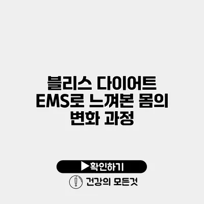 블리스 다이어트 EMS로 느껴본 몸의 변화 과정