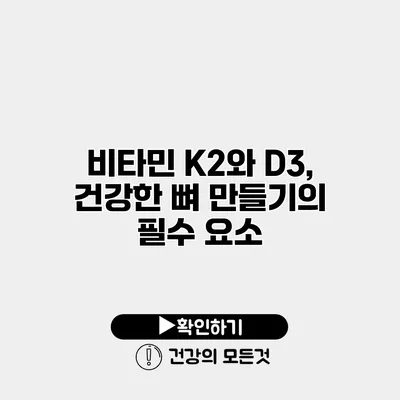 비타민 K2와 D3, 건강한 뼈 만들기의 필수 요소