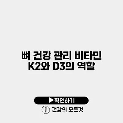 뼈 건강 관리 비타민 K2와 D3의 역할