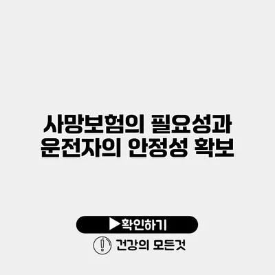 사망보험의 필요성과 운전자의 안정성 확보
