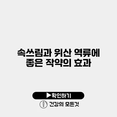 속쓰림과 위산 역류에 좋은 작약의 효과
