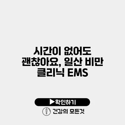 시간이 없어도 괜찮아요, 일산 비만 클리닉 EMS