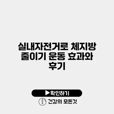 실내자전거로 체지방 줄이기 운동 효과와 후기