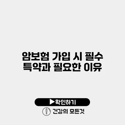 암보험 가입 시 필수 특약과 필요한 이유