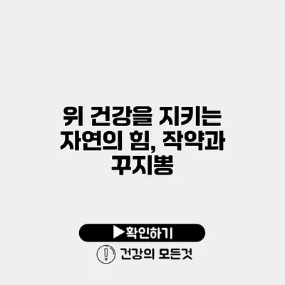 위 건강을 지키는 자연의 힘, 작약과 꾸지뽕