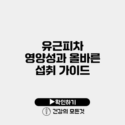 유근피차 영양성과 올바른 섭취 가이드