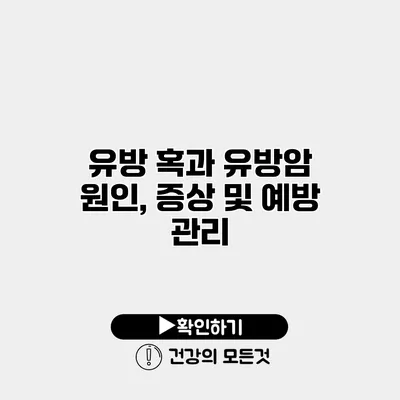 유방 혹과 유방암 원인, 증상 및 예방 관리
