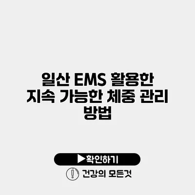 일산 EMS 활용한 지속 가능한 체중 관리 방법