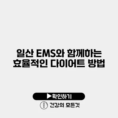 일산 EMS와 함께하는 효율적인 다이어트 방법