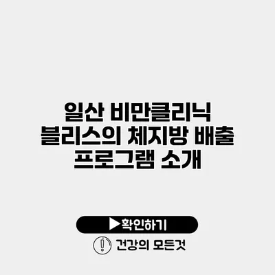 일산 비만클리닉 블리스의 체지방 배출 프로그램 소개