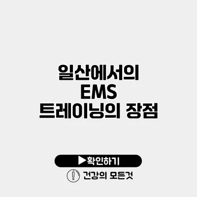 일산에서의 EMS 트레이닝의 장점