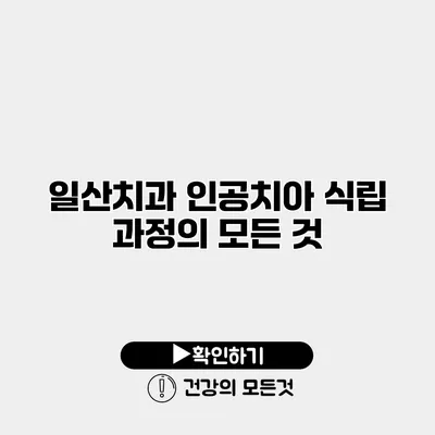 일산치과 인공치아 식립 과정의 모든 것
