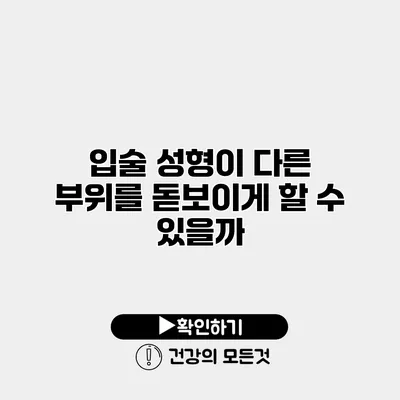 입술 성형이 다른 부위를 돋보이게 할 수 있을까?