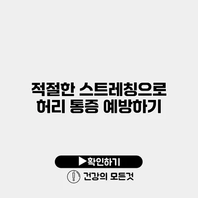 적절한 스트레칭으로 허리 통증 예방하기