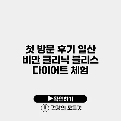 첫 방문 후기 일산 비만 클리닉 블리스 다이어트 체험
