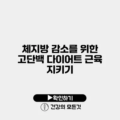 체지방 감소를 위한 고단백 다이어트 근육 지키기