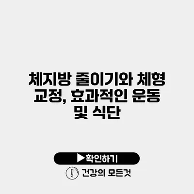 체지방 줄이기와 체형 교정, 효과적인 운동 및 식단