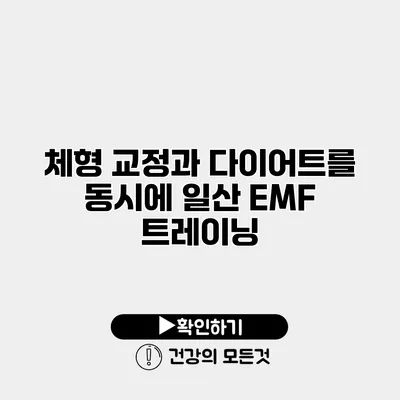 체형 교정과 다이어트를 동시에 일산 EMF 트레이닝