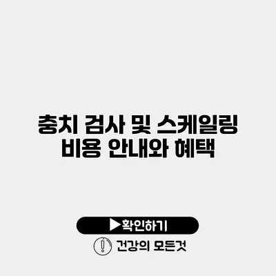 충치 검사 및 스케일링 비용 안내와 혜택