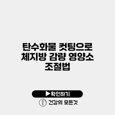 탄수화물 컷팅으로 체지방 감량 영양소 조절법