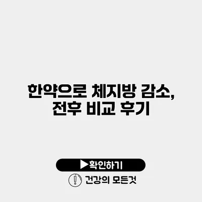 한약으로 체지방 감소, 전후 비교 후기