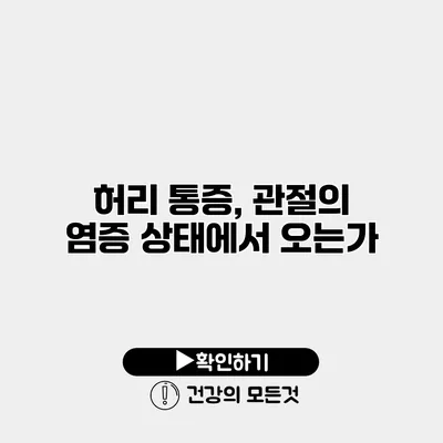 허리 통증, 관절의 염증 상태에서 오는가?
