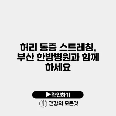 허리 통증 스트레칭, 부산 한방병원과 함께 하세요