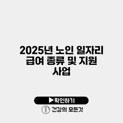 2025년 노인 일자리 급여 종류 및 지원 사업