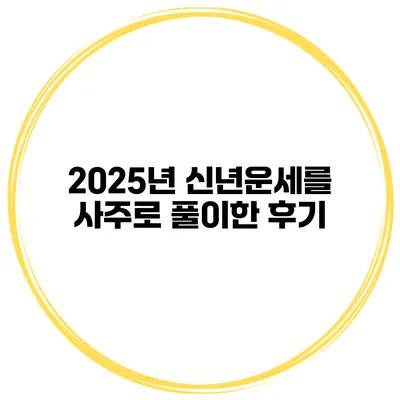 2025년 신년운세를 사주로 풀이한 후기