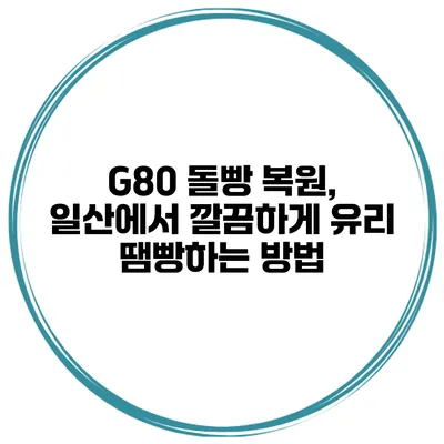G80 돌빵 복원, 일산에서 깔끔하게 유리 땜빵하는 방법