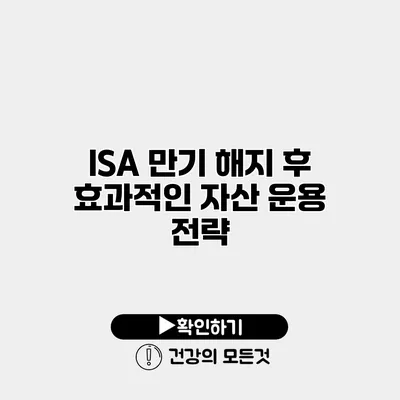 ISA 만기 해지 후 효과적인 자산 운용 전략