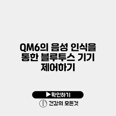 QM6의 음성 인식을 통한 블루투스 기기 제어하기