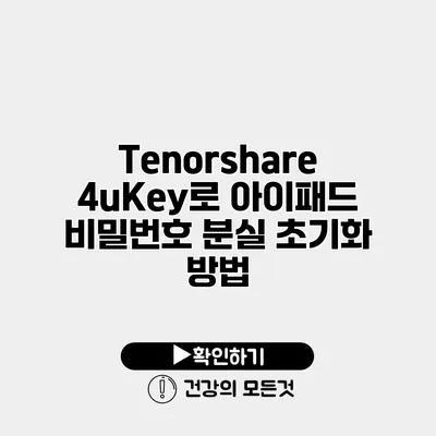 Tenorshare 4uKey로 아이패드 비밀번호 분실 초기화 방법