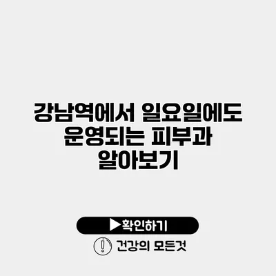 강남역에서 일요일에도 운영되는 피부과 알아보기