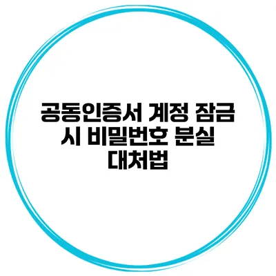 공동인증서 계정 잠금 시 비밀번호 분실 대처법