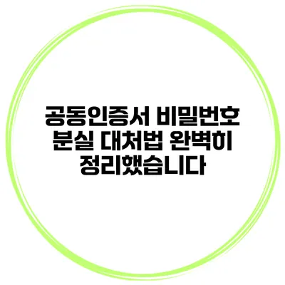 공동인증서 비밀번호 분실 대처법 완벽히 정리했습니다