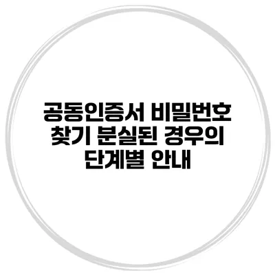 공동인증서 비밀번호 찾기 분실된 경우의 단계별 안내