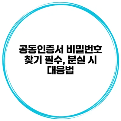 공동인증서 비밀번호 찾기 필수, 분실 시 대응법